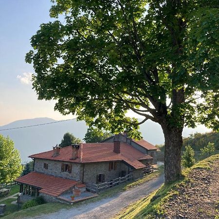 圣马尔切洛皮斯托耶塞 Casa Sperandini旅馆 外观 照片